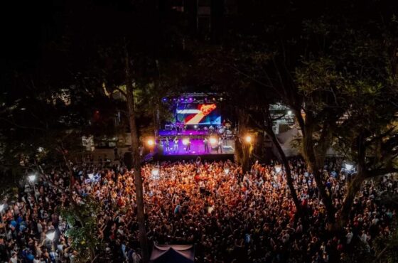 Posadas Mágica 2024: La Magia Navideña Llega a la Plaza San Martín