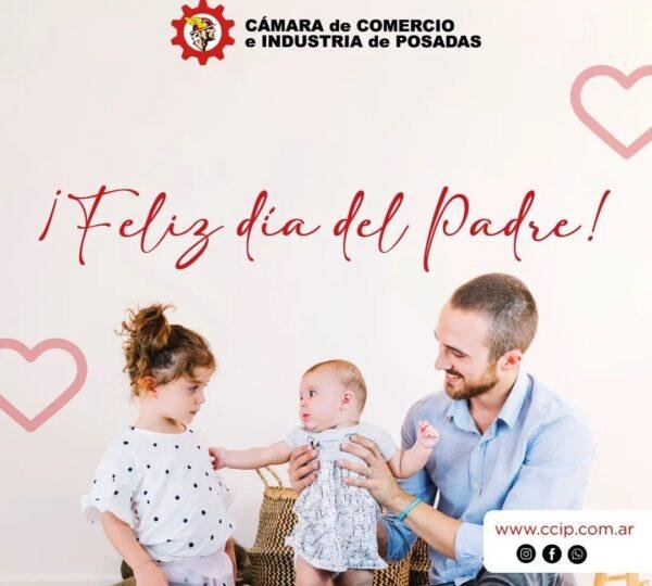 Resumen de Ventas del Fin de Semana 15 y 16 de Junio con el Programa Ahora Papá