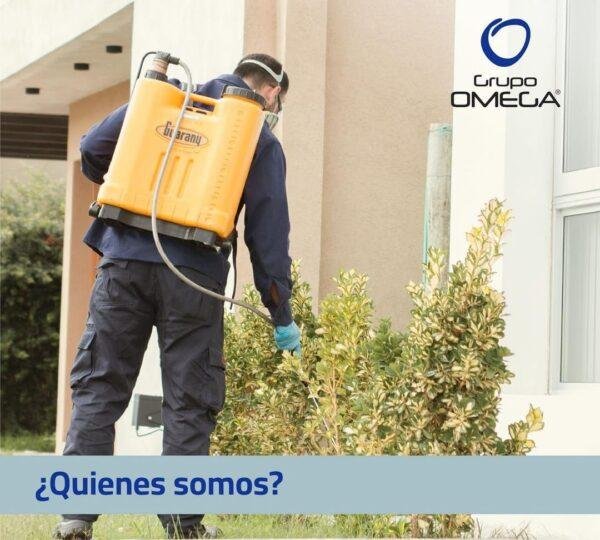 GRUPO OMEGA