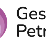 ESTUDIO CONTABLE “GESTION PETRUFF”