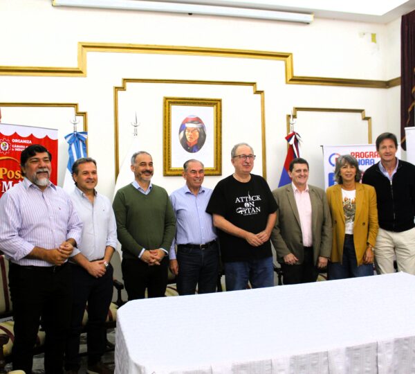 Se lanzó la 7° edición de Posadas Mágica: un evento de fin de año para impulsar el comercio local