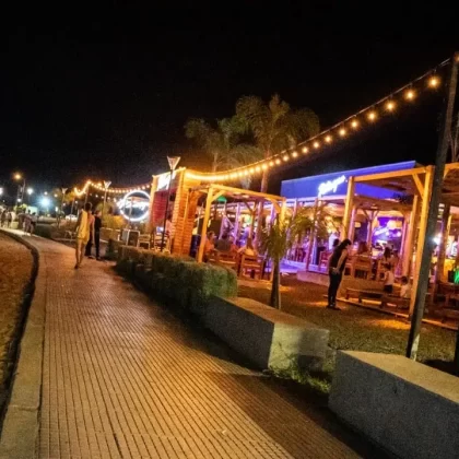 costenera sur posadas