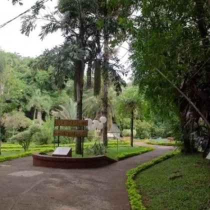 jbotanico